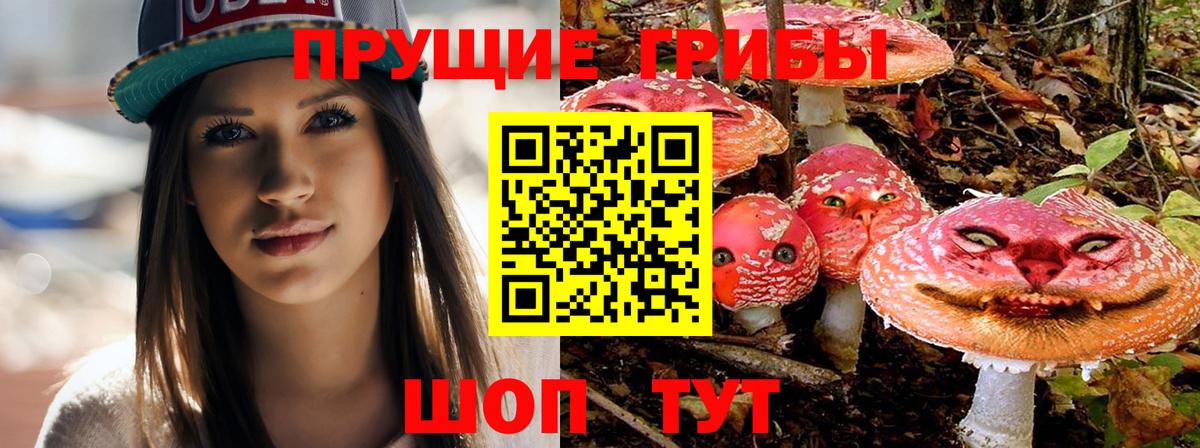 Галлюциногенные грибы мицелий  Вход с VPN  Сальск 