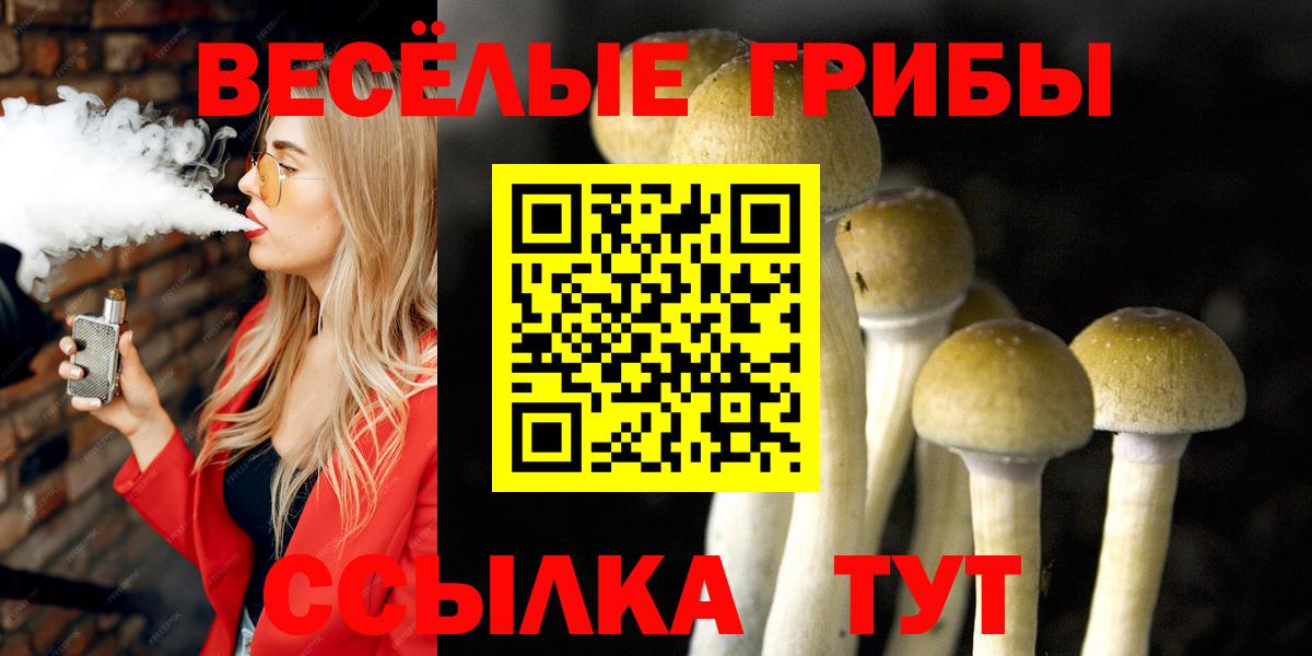 Псилоцибиновые грибы Cubensis Сальск